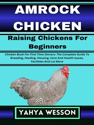 cover image of AMROCK CHICKEN Raising Chickens For Beginners